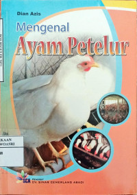 Mengenal Ayam Petelur